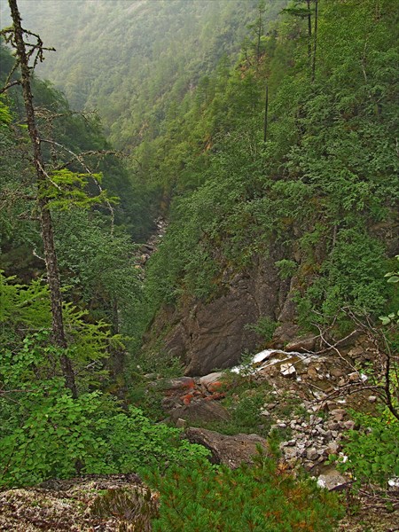 Ущелье притока В. Сакукана.